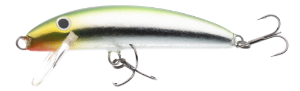 Real Winner Minnow