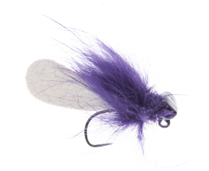neoSTYLE Crazy Bomb 