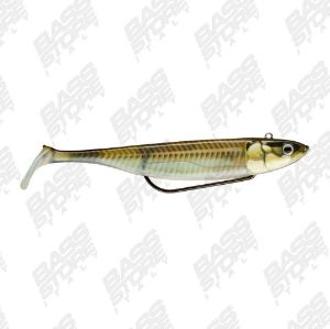 Storm 360GT Coastal Biscay Shad