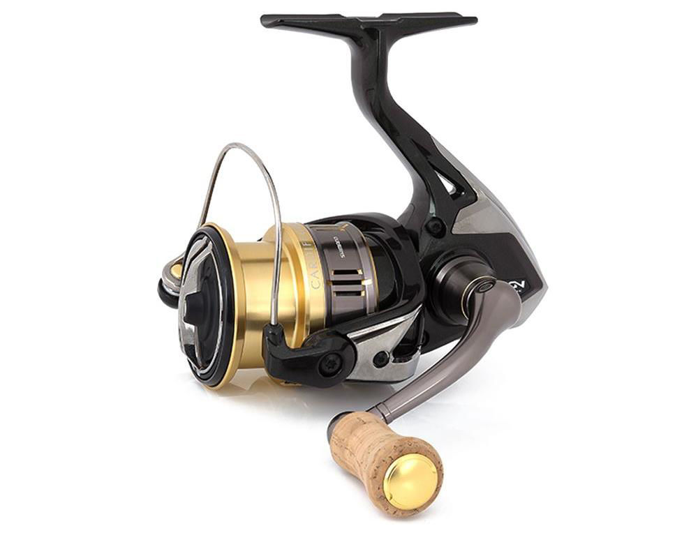 SHIMANO CARDIFF CI4+ 1000S カーディフ SHIMANO Cardiff CI4+ 1000S, taglia unica : Amazon.it: Sport