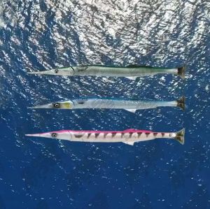 Savage Gear Line Thru 3D Needlefish Pulse Tail