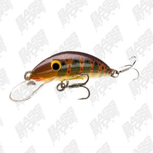 Real Winner Minnow