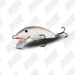 Real Winner Minnow Evolution