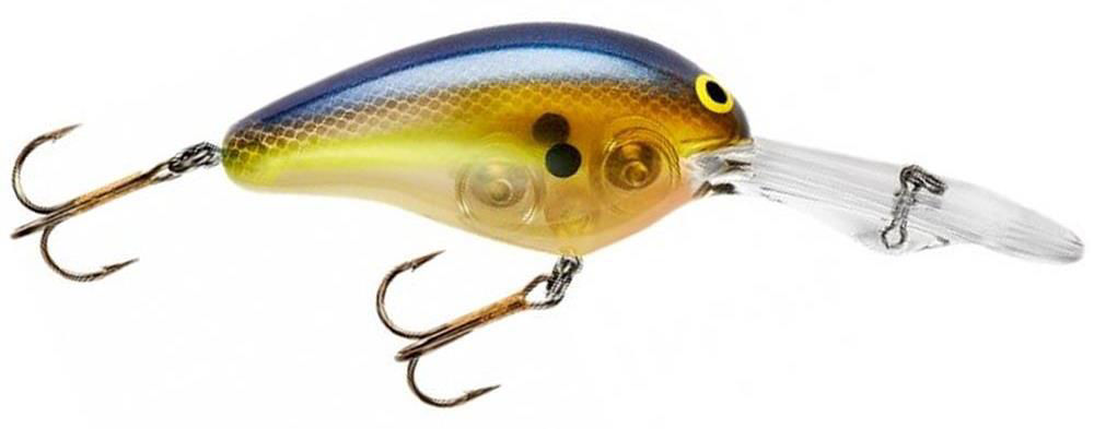 Norman  DD22