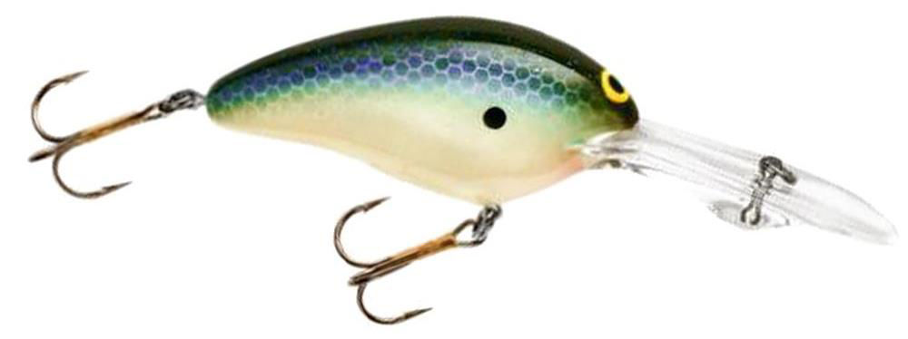 Norman  DD22