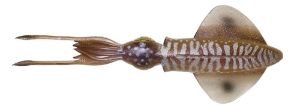 Savage Gear 3D LB Swim Squid