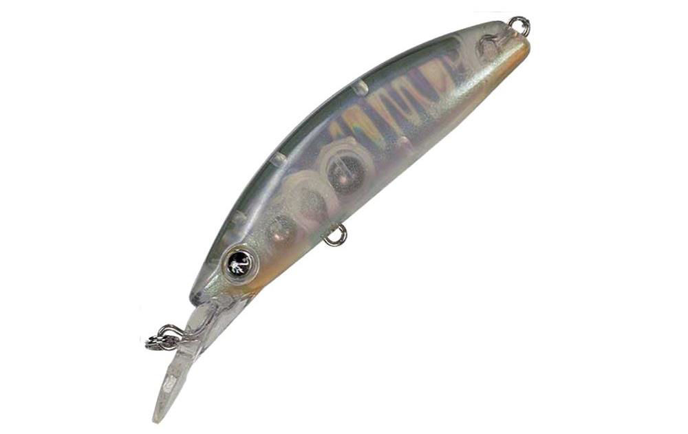 Seaspin Buginu 55