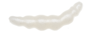 Game By Laboratorio Larva Bioillogica PK