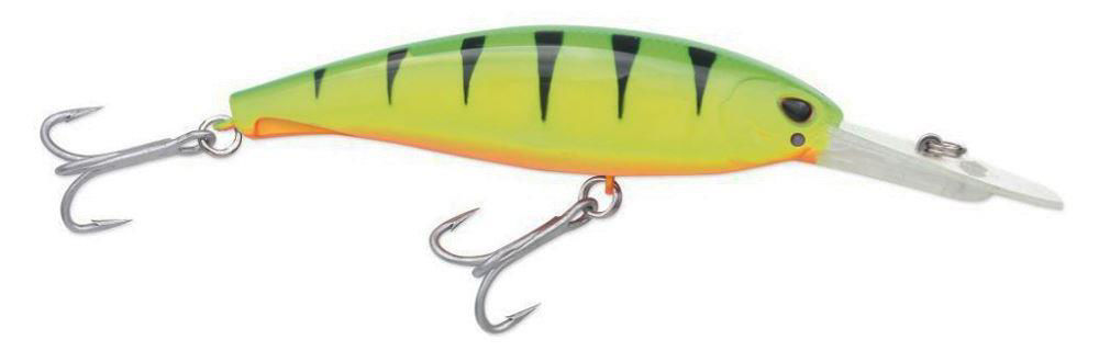 Storm Arashi Tiger 10