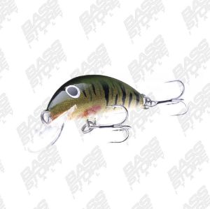 Real Winner Minnow Evolution