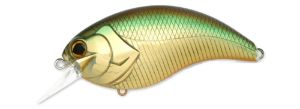 Deps Evoke 4.0