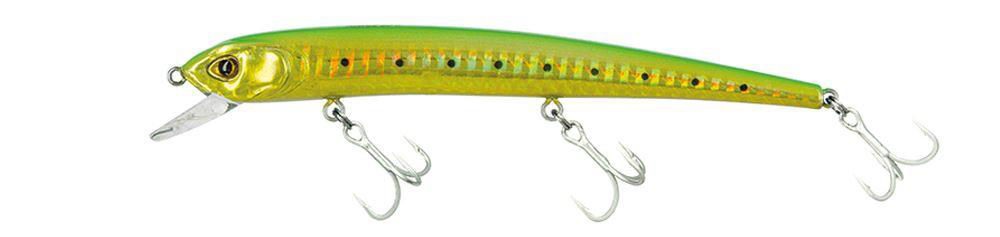 Molix Audace 130