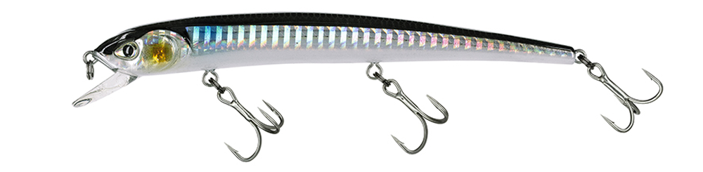 Molix Audace 130