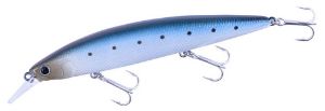 Lucky Craft Surf Pointer 115 MR