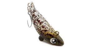 Rob Lure Mogutaso IT Custom