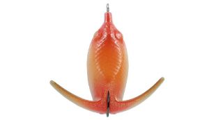 Deps Basirisky Hard Belly Limited 