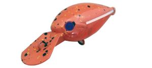 Daysprout Chattecra 