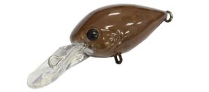 Daysprout Chattecra 