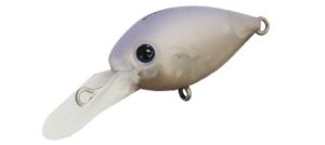 Daysprout Chattecra 