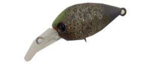 Daysprout Chattecra 