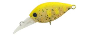 Daysprout Chattecra 