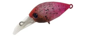 Daysprout Chattecra 