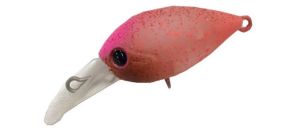 Daysprout Chattecra 