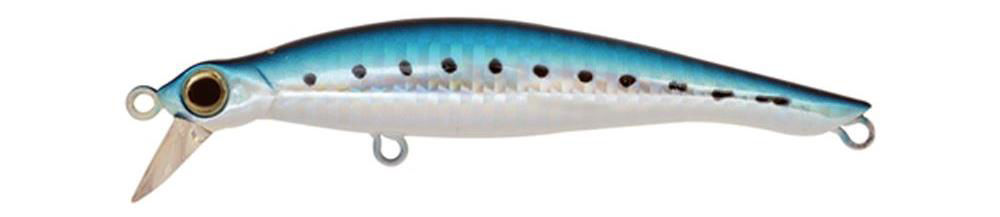 Jackson Rogos 105