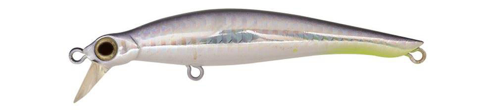 Jackson Rogos 105
