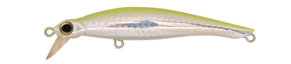 Jackson Rogos 105