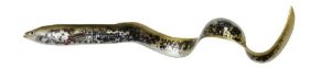 Savage Gear 4D LB Real Eel Bulk