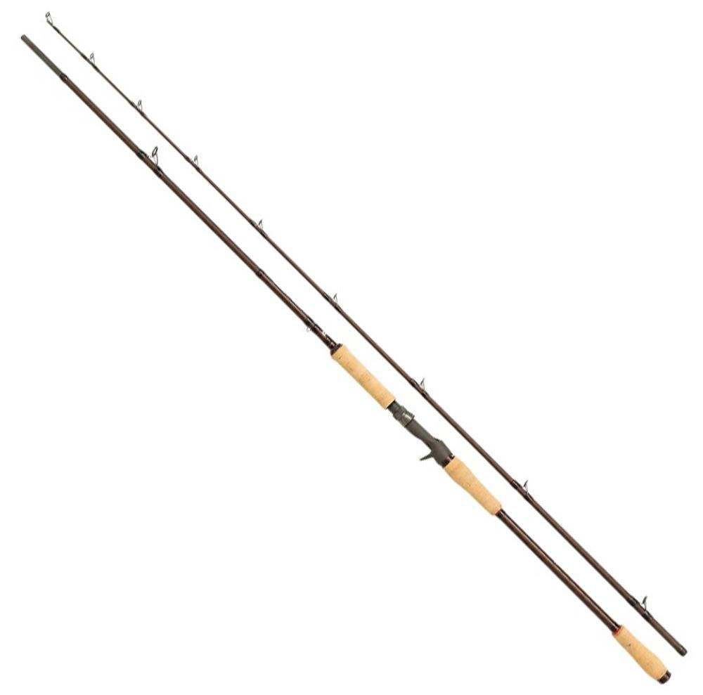 Abu Garcia Beast Pro casting