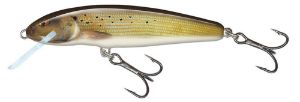 Salmo Minnow