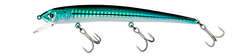 Molix Audace 130