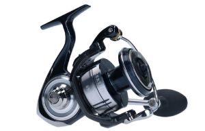 Daiwa 21 Certate SW G