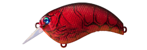 Deps Evoke 2.0