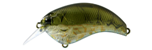 Deps Evoke 2.0