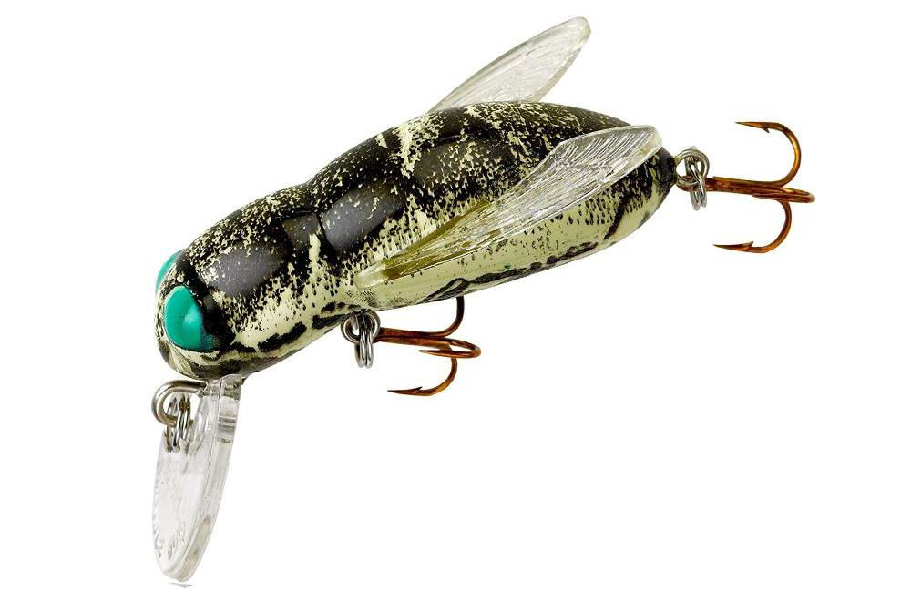 Rebel Bumble Bug