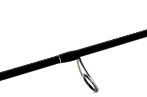 Shimano Bassterra Sea Bass spinning