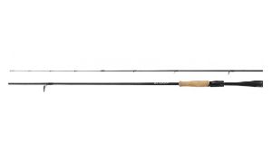 Daiwa Blazon 21 spinning