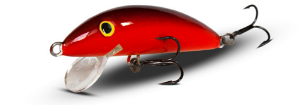 Real Winner Minnow