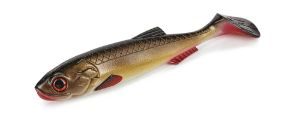 Molix RT Shad