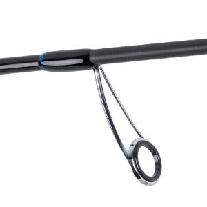 Favorite Blue Bird Saltwater spinning