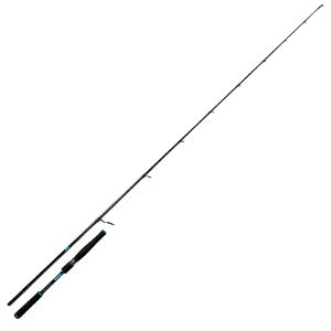 Favorite X1 Saltwater spinning
