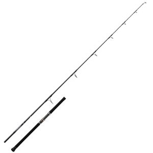 Daiwa 21 Saltiga Casting spinning