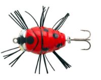 Sakura Notobug