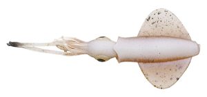 Savage Gear Swim Squid LRF