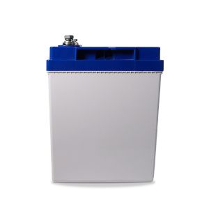Ecowatt Batteria al litio LiFEPO4 Smart BMS