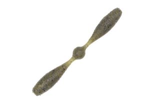 Geecrack Dumbbell Worm