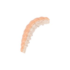 Berkley Powerbait Honey Worm
